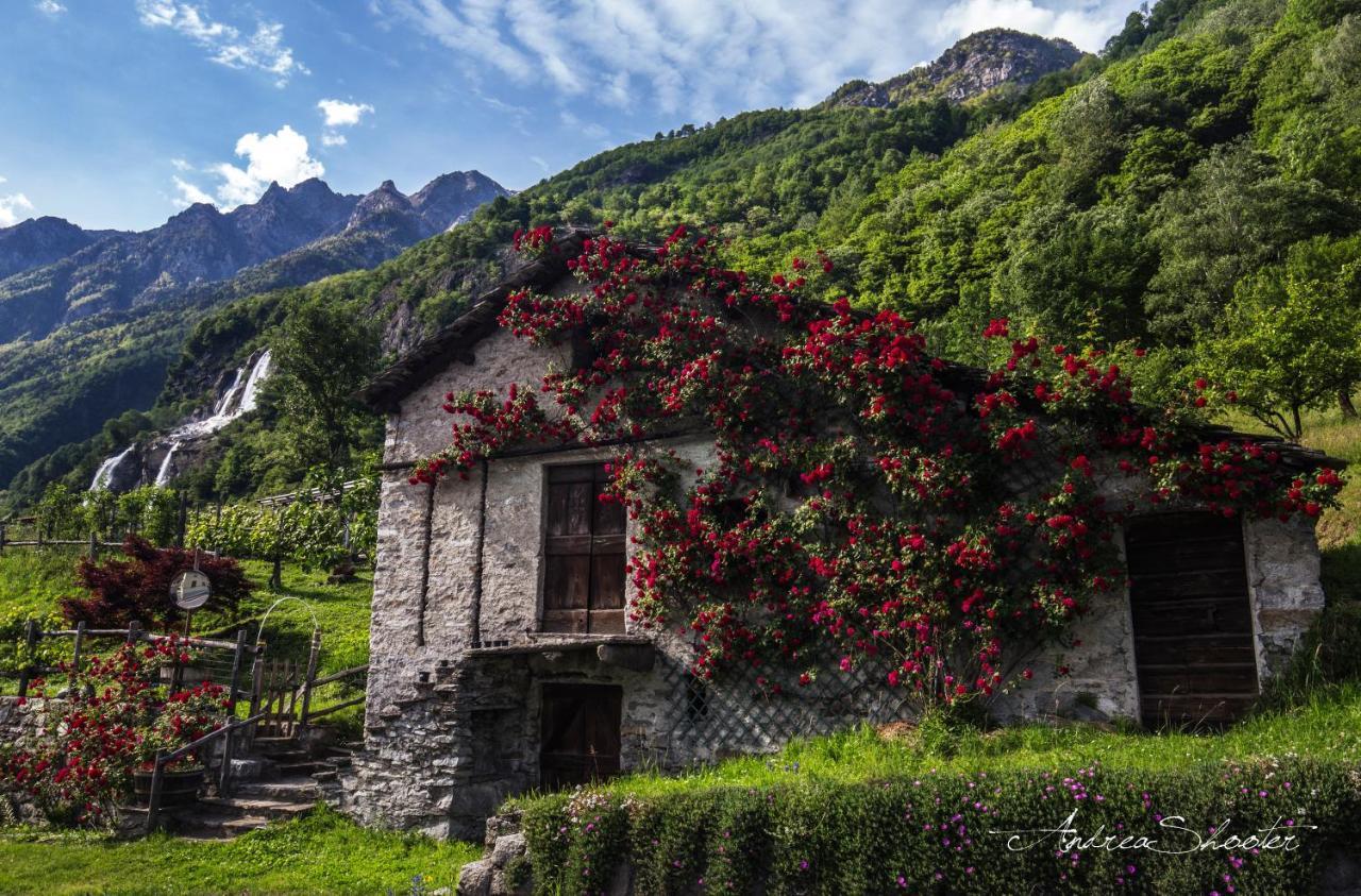 Ca Bregaglia - Appartamenti Per Vacanze Prosto di Piuro Zewnętrze zdjęcie